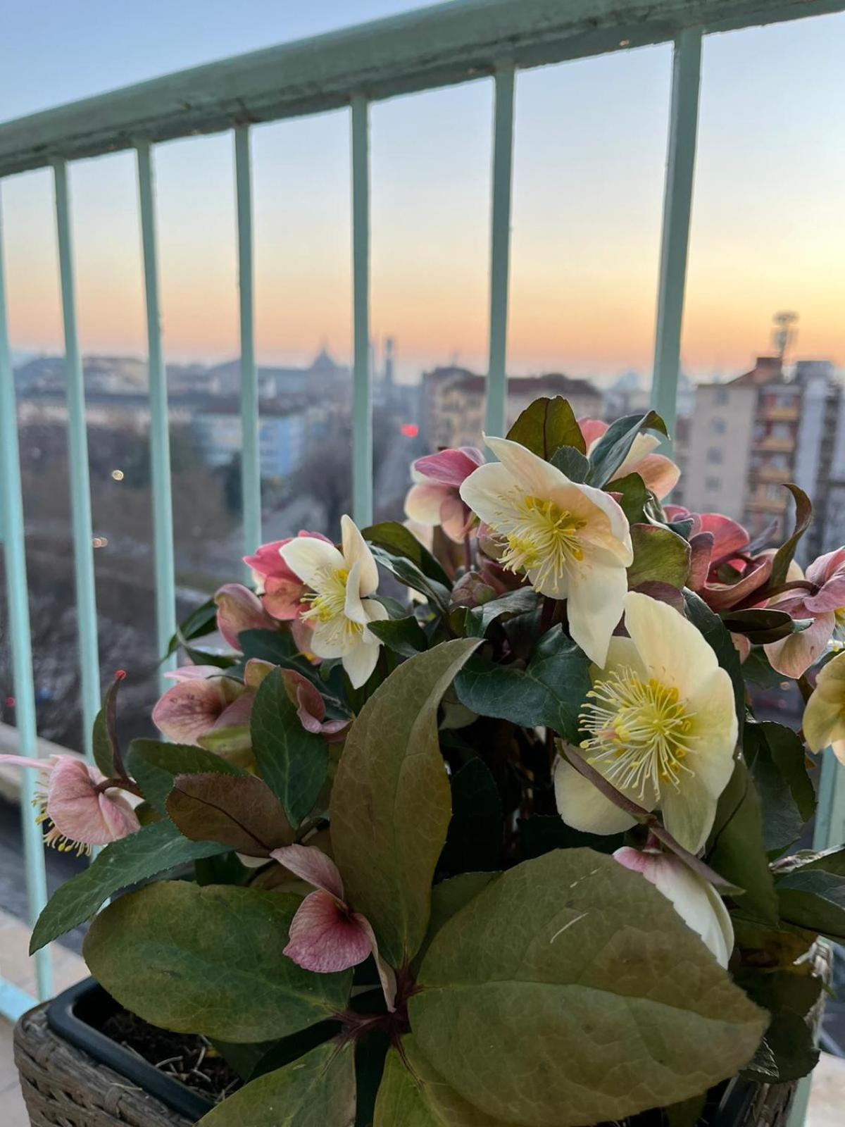 Attico Ellen Terrazza Con Vista Apartment Turin Exterior photo